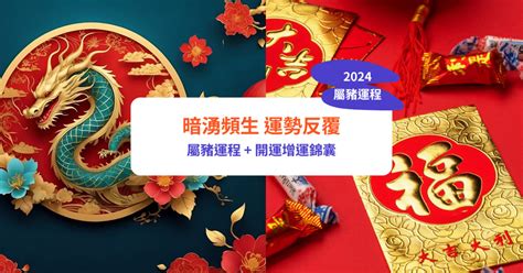 2024 豬運勢|【屬豬2024生肖運勢】暗湧頻生，運勢反覆｜屬豬運 